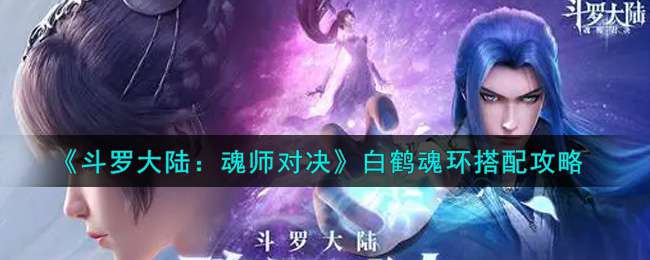 《斗罗大陆：魂师对决》白鹤魂环搭配攻略