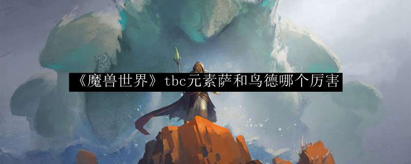 《魔兽世界》tbc元素萨和鸟德哪个厉害